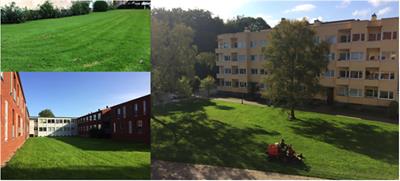 Salutogenic Affordances and Sustainability: Multiple Benefits With Edible Forest Gardens in Urban Green Spaces